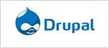 Drupal CMS Development Services